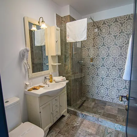 Отель Alessio Костинешти