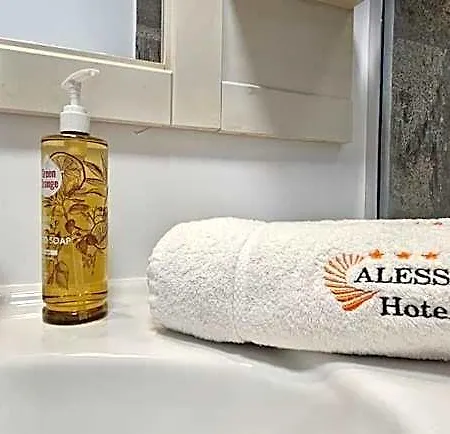Alessio Hotel 4*